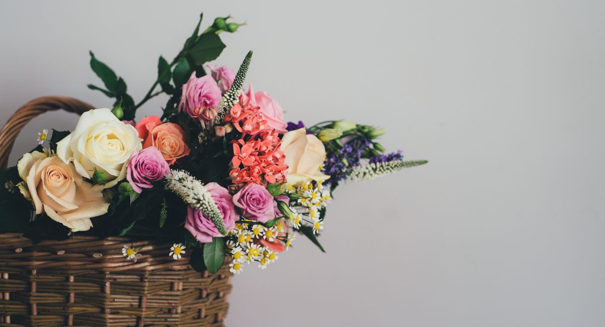 annie-spratt-113596-unsplash